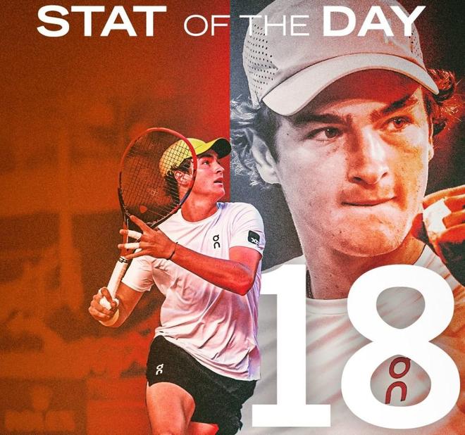 奇斯的组织 奇斯的组织